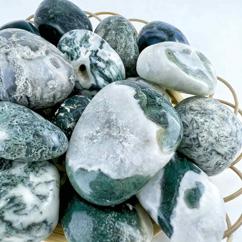 Natural Moss Agate Crushed Sto – Echeveria Succulent recenzja i cena