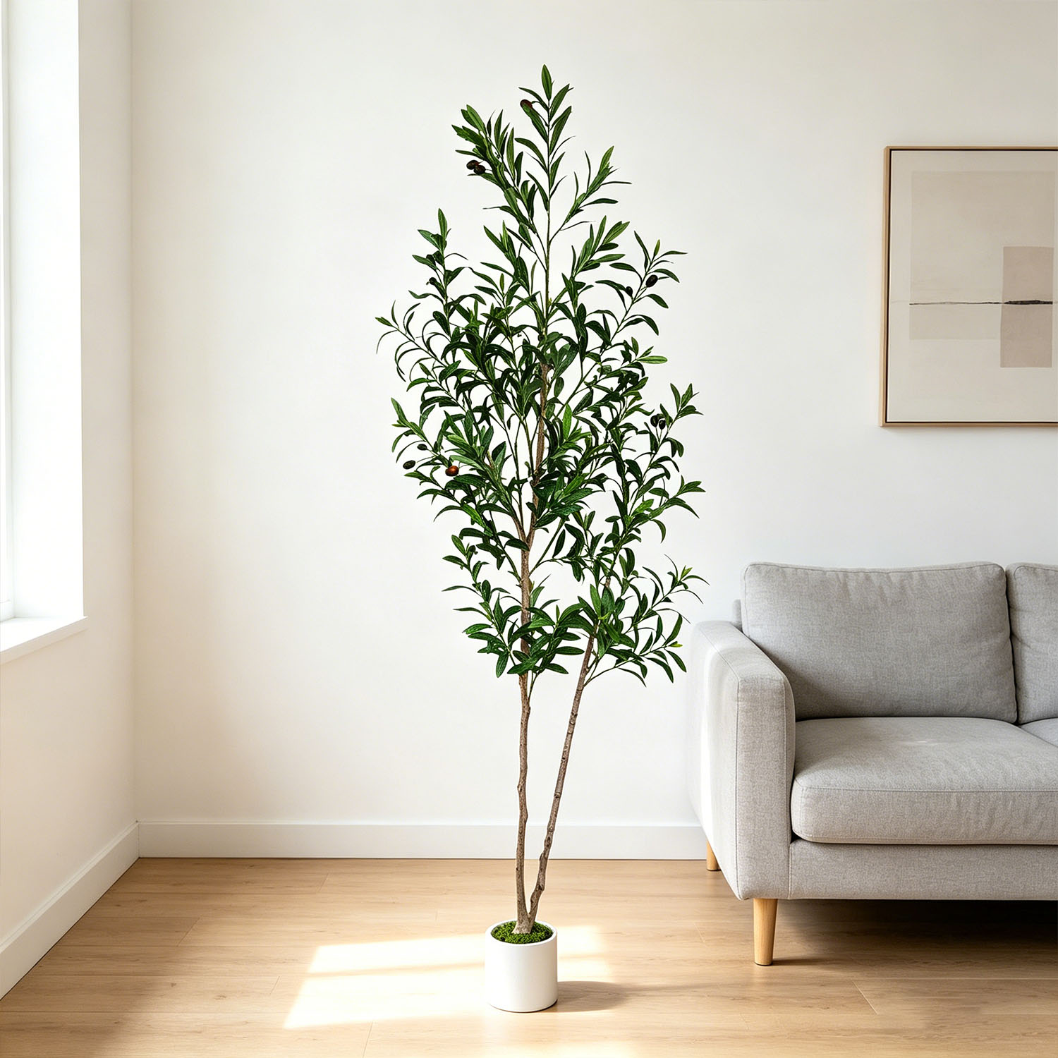 145Cm-175Cm/5.7Ft Artificial O – Dracaena Marginata recenzja i cena