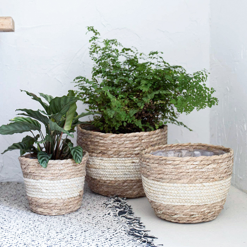 Seagrass Planter Basket Flower – Aloe Vera Pot recenzja i cena