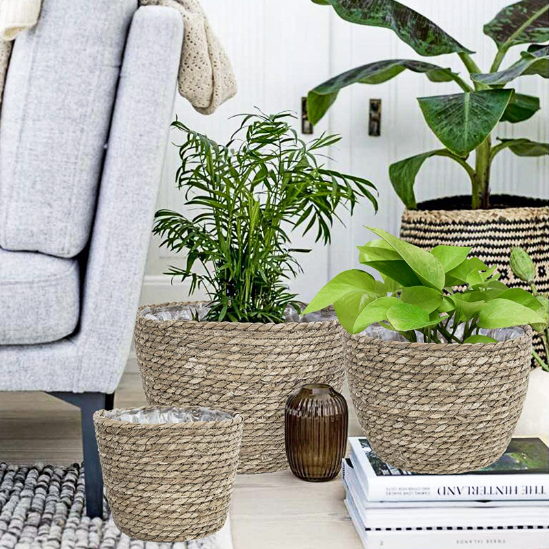 Seagrass Planter Basket Flower – Aloe Vera Pot recenzja i cena