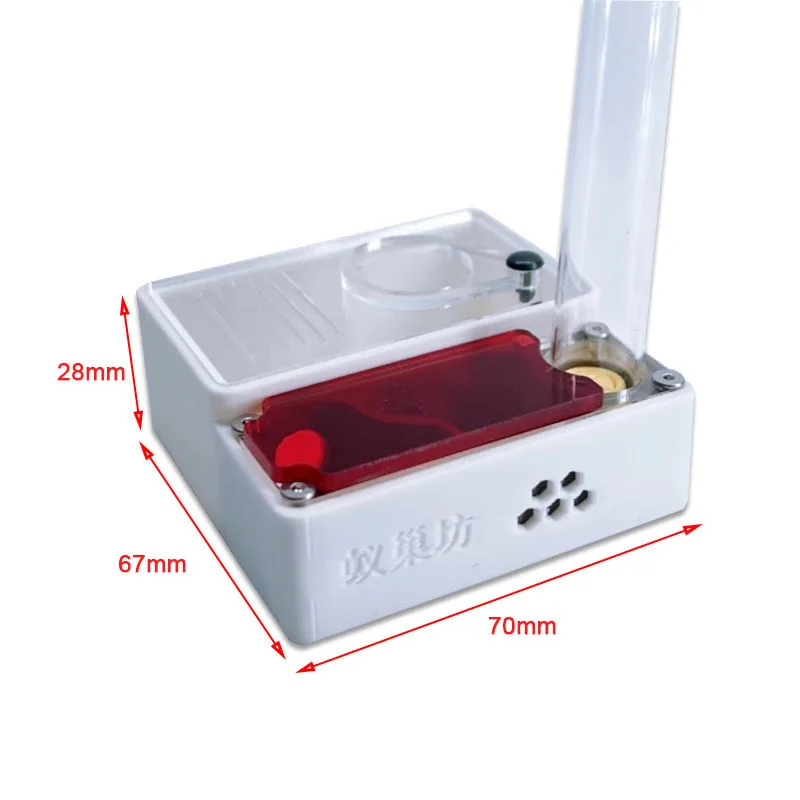 3D Printed Ant Farm queen ant' – Begonia Rex recenzja i cena