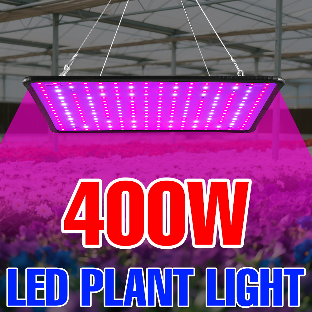 400W LED Grow Light Full Spect – Echeveria Succulent recenzja i cena