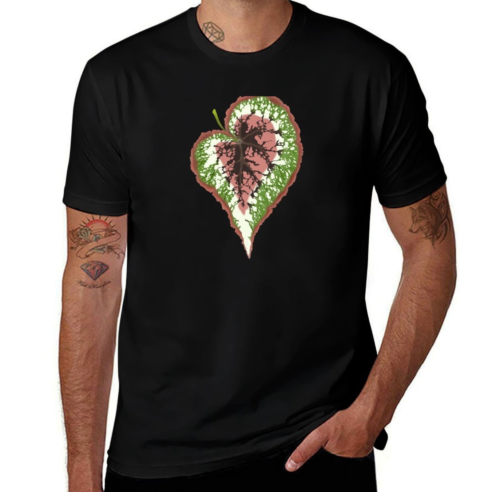 Begonia Rex T-Shirt Work Casua – Begonia Rex recenzja i cena