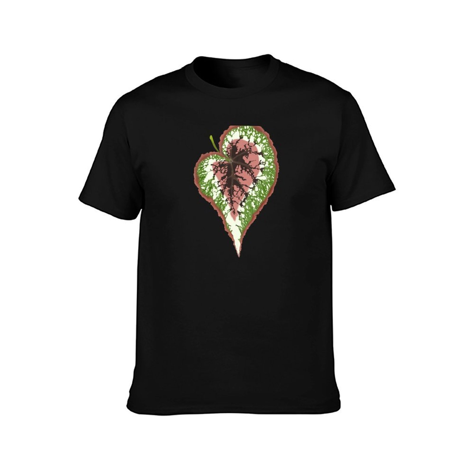 Begonia Rex T-Shirt Work Casua – Begonia Rex recenzja i cena