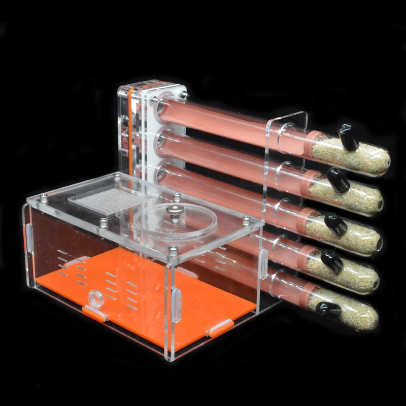DIY Acrylic Ant Farm 5 pcs 18- – Begonia Rex recenzja i cena