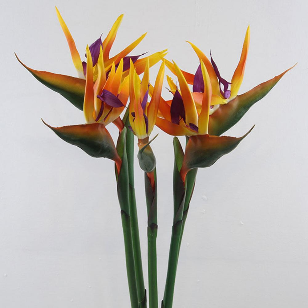 1pc 80cm Flower Bird Of Paradi – Bird Paradise Strelitzia recenzja i cena
