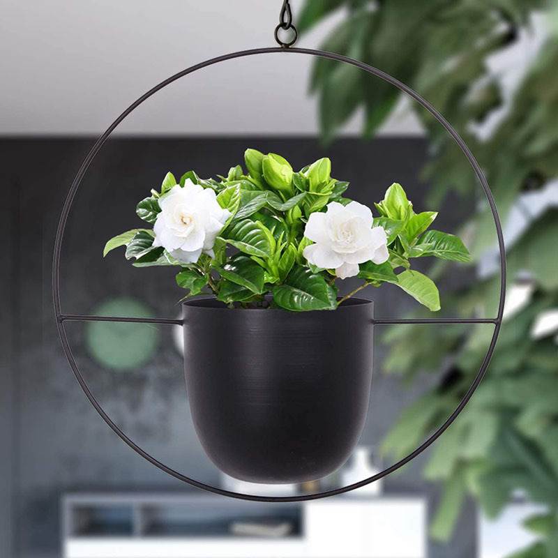 Hanging Iron Art Plant Pots Ba – Spider Plant Hanging recenzja i cena