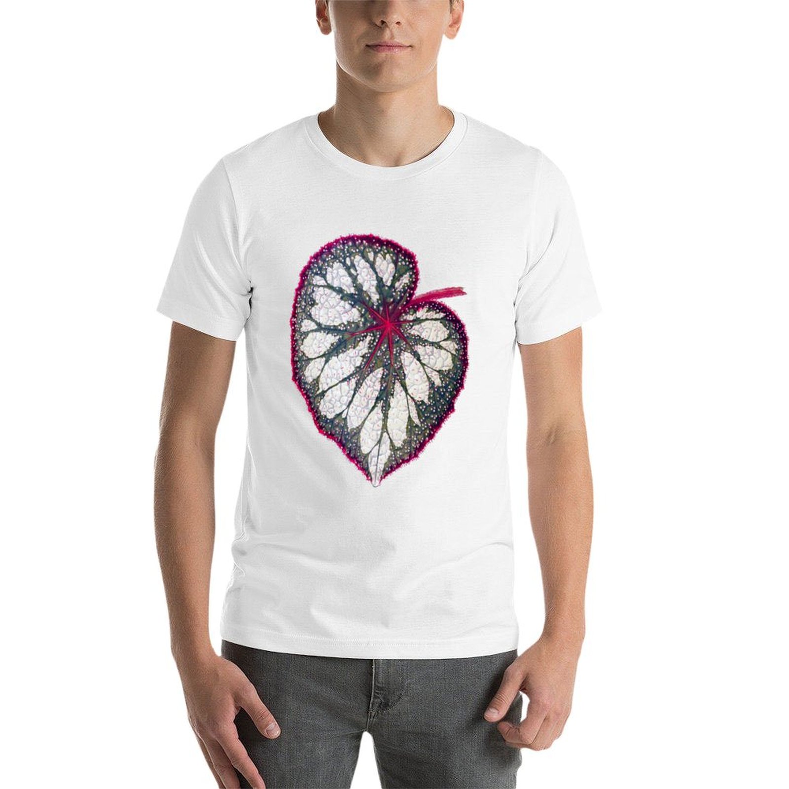 Begonia rex T-Shirt man graphi – Begonia Rex recenzja i cena