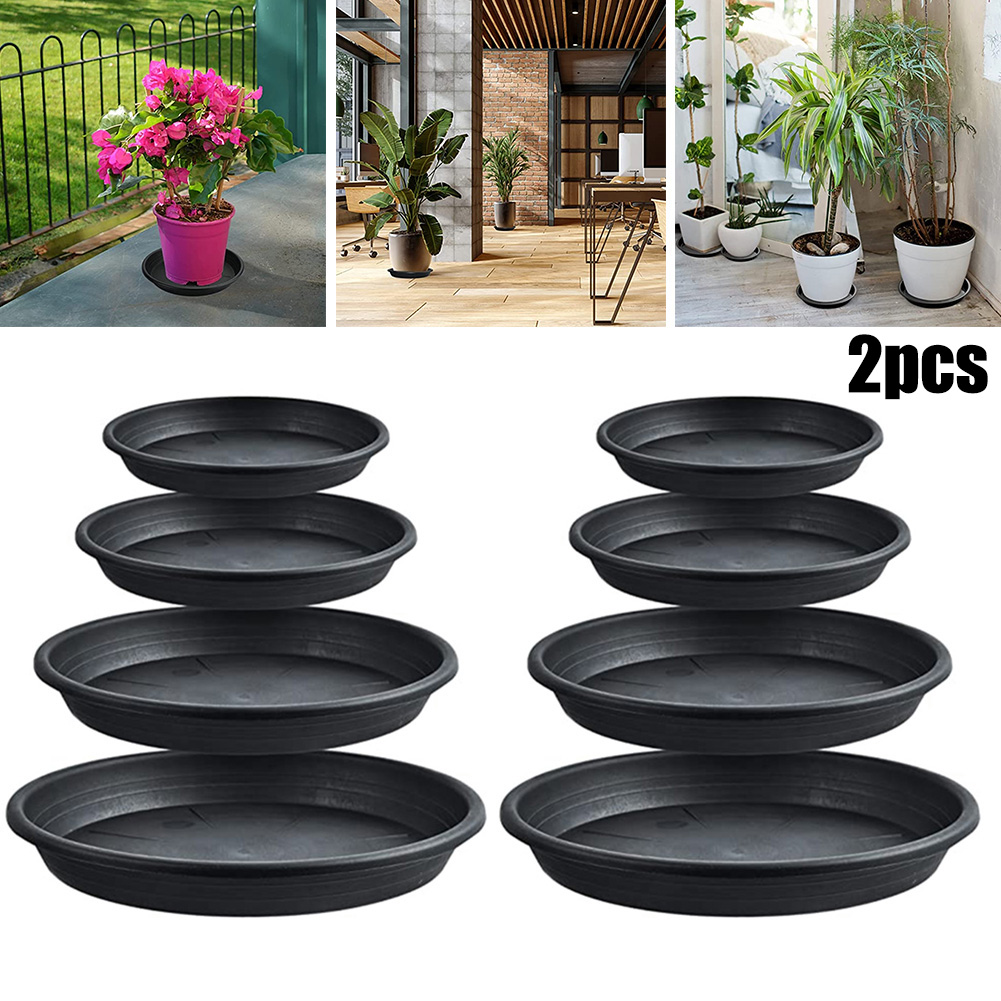 2pcs Plant Trays Round Succule – Echeveria Succulent recenzja i cena