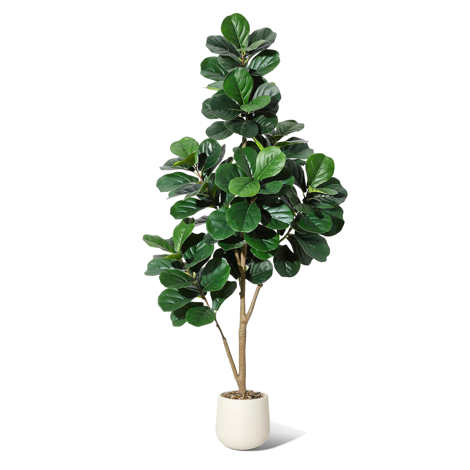 4-7 FT Fiddle Leaf Fig Tree Ar – Ficus Lyrata Tree recenzja i cena