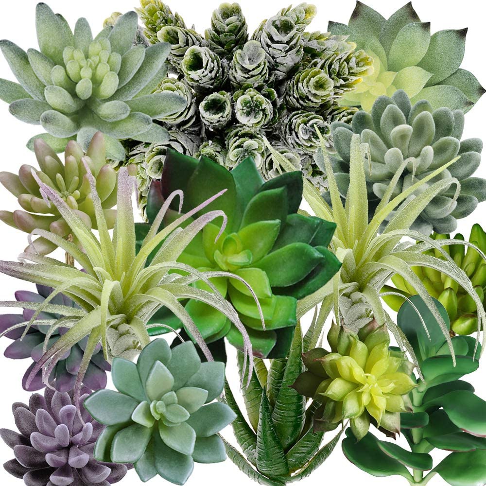 15 Pack Assorted Artificial Su – Echeveria Succulent recenzja i cena