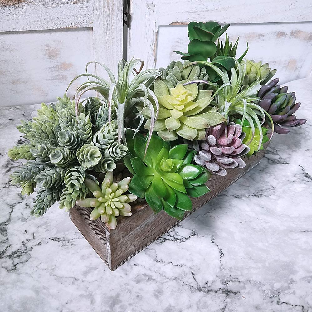 15 Pack Assorted Artificial Su – Echeveria Succulent recenzja i cena