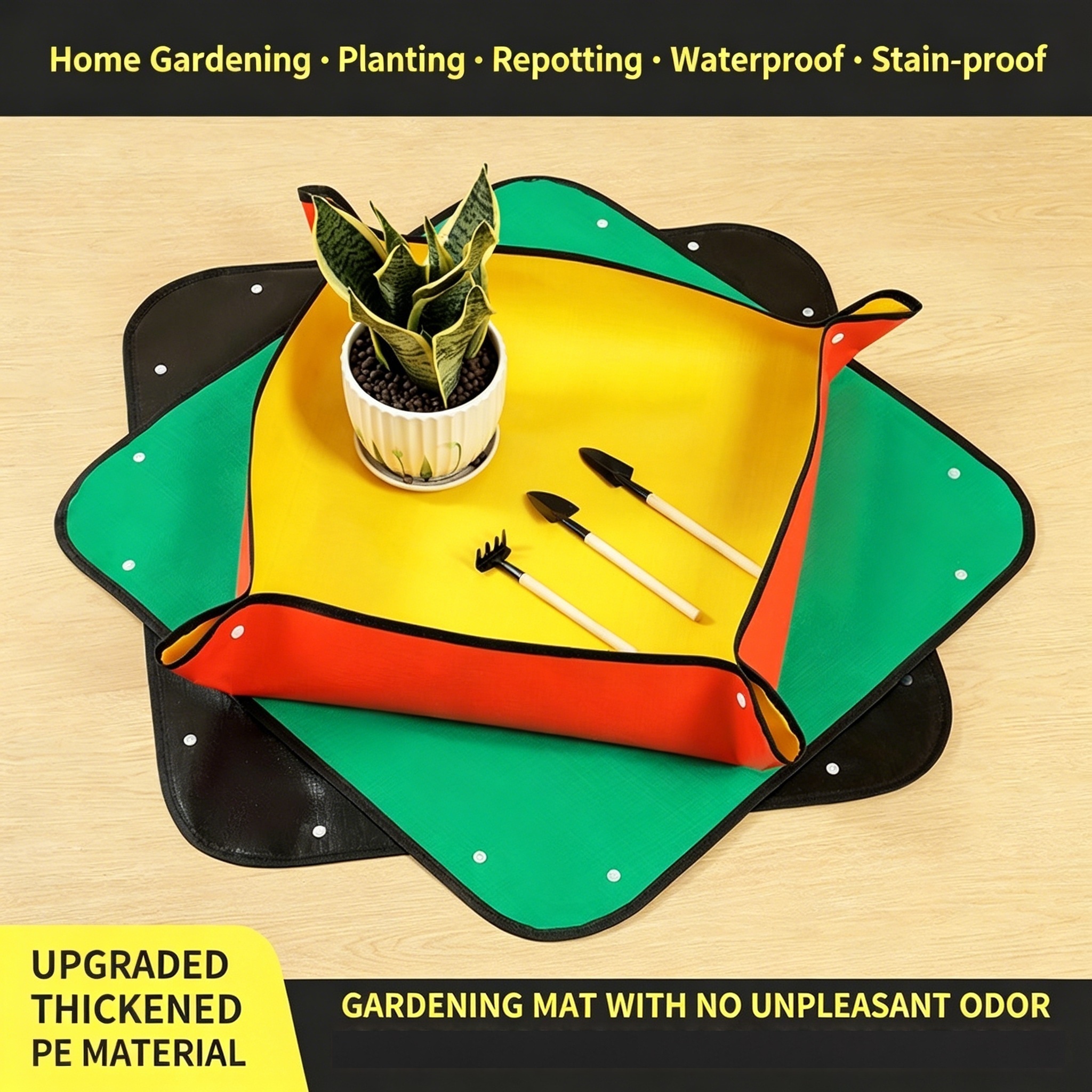 Plant Repotting Mat, Waterproo – Echeveria Succulent recenzja i cena