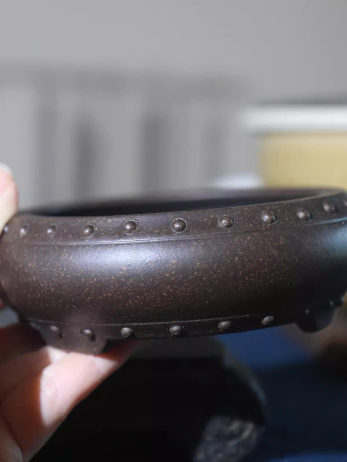 Ceramic Circle Bonsai Pot, Mad – Pilea Peperomioides recenzja i cena