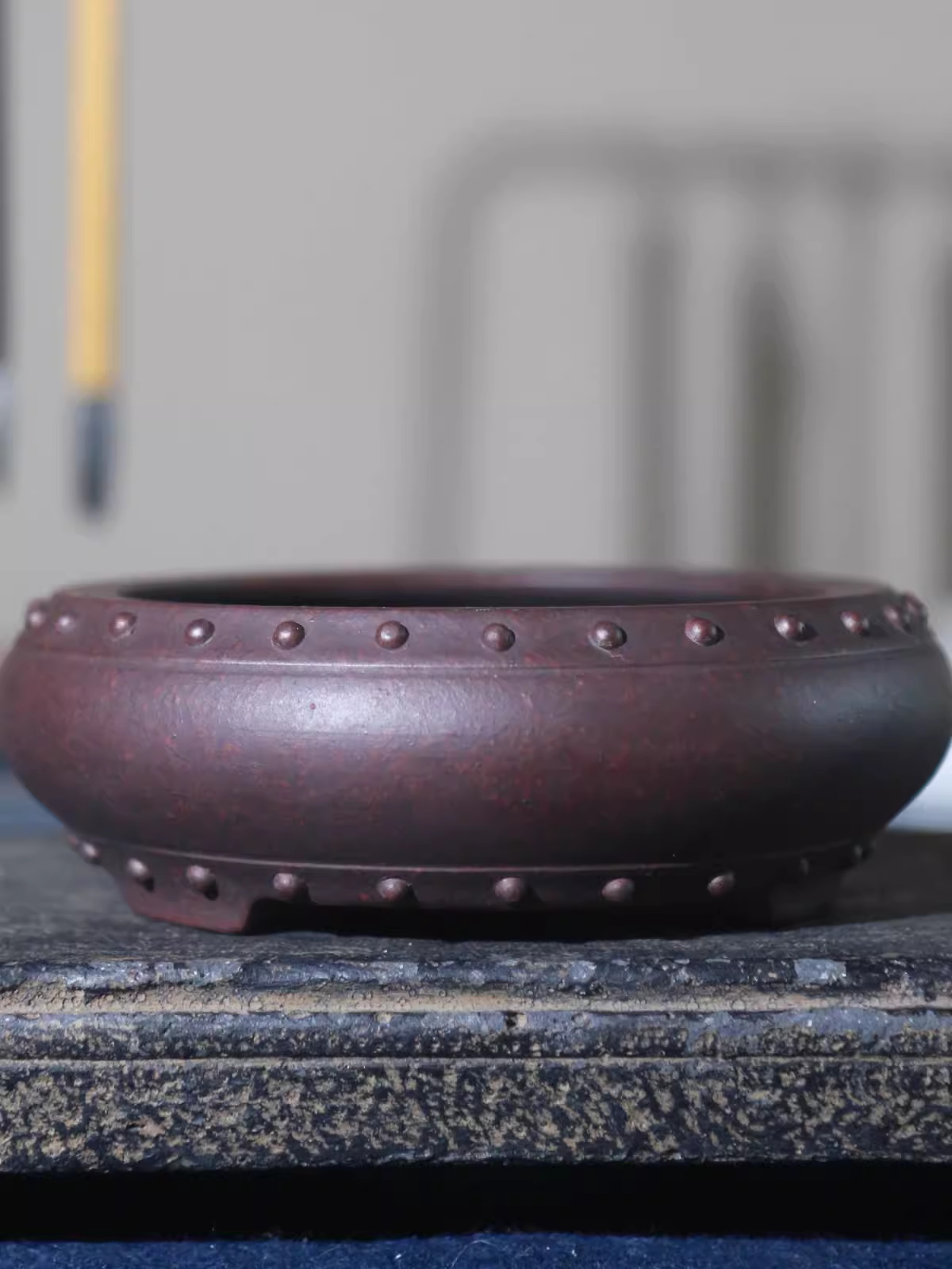 Ceramic Circle Bonsai Pot, Mad – Pilea Peperomioides recenzja i cena