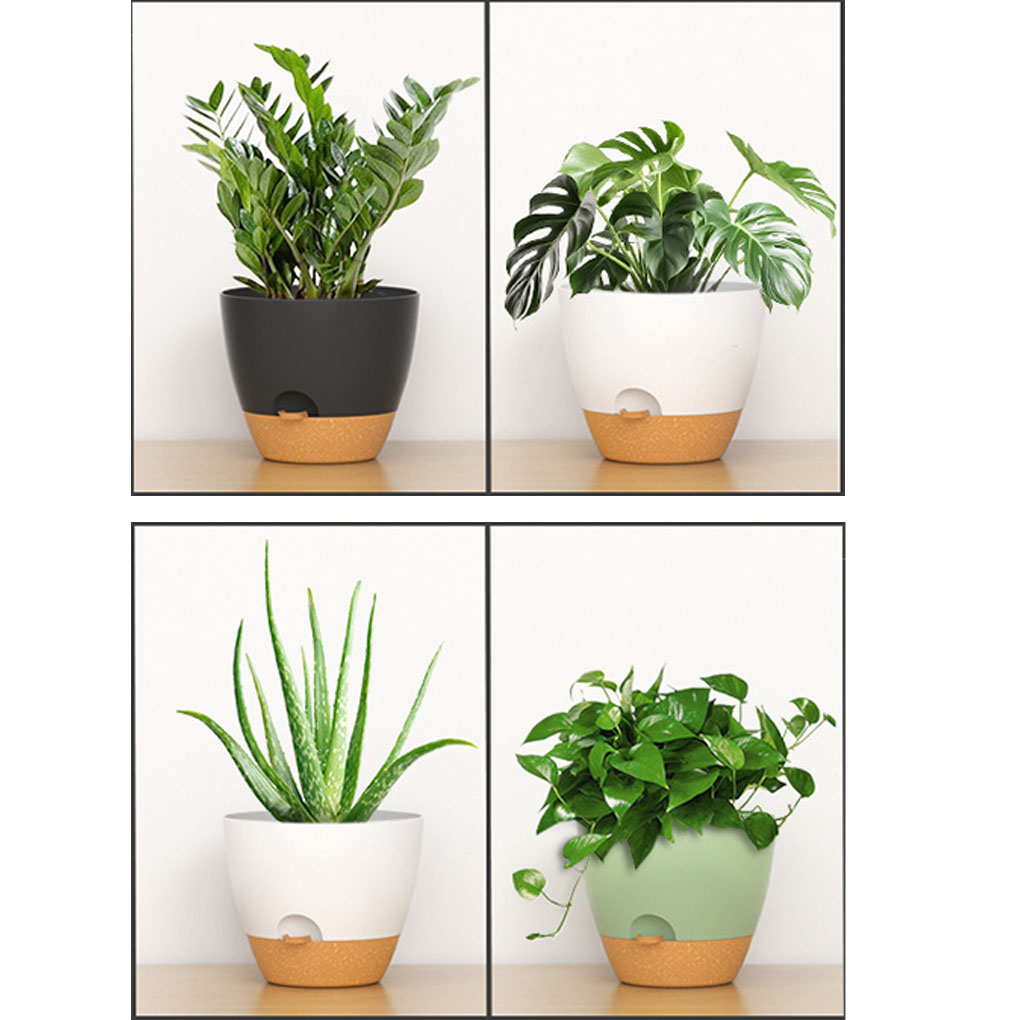 5piece Indoor Flower Pots With – Aloe Vera Pot recenzja i cena