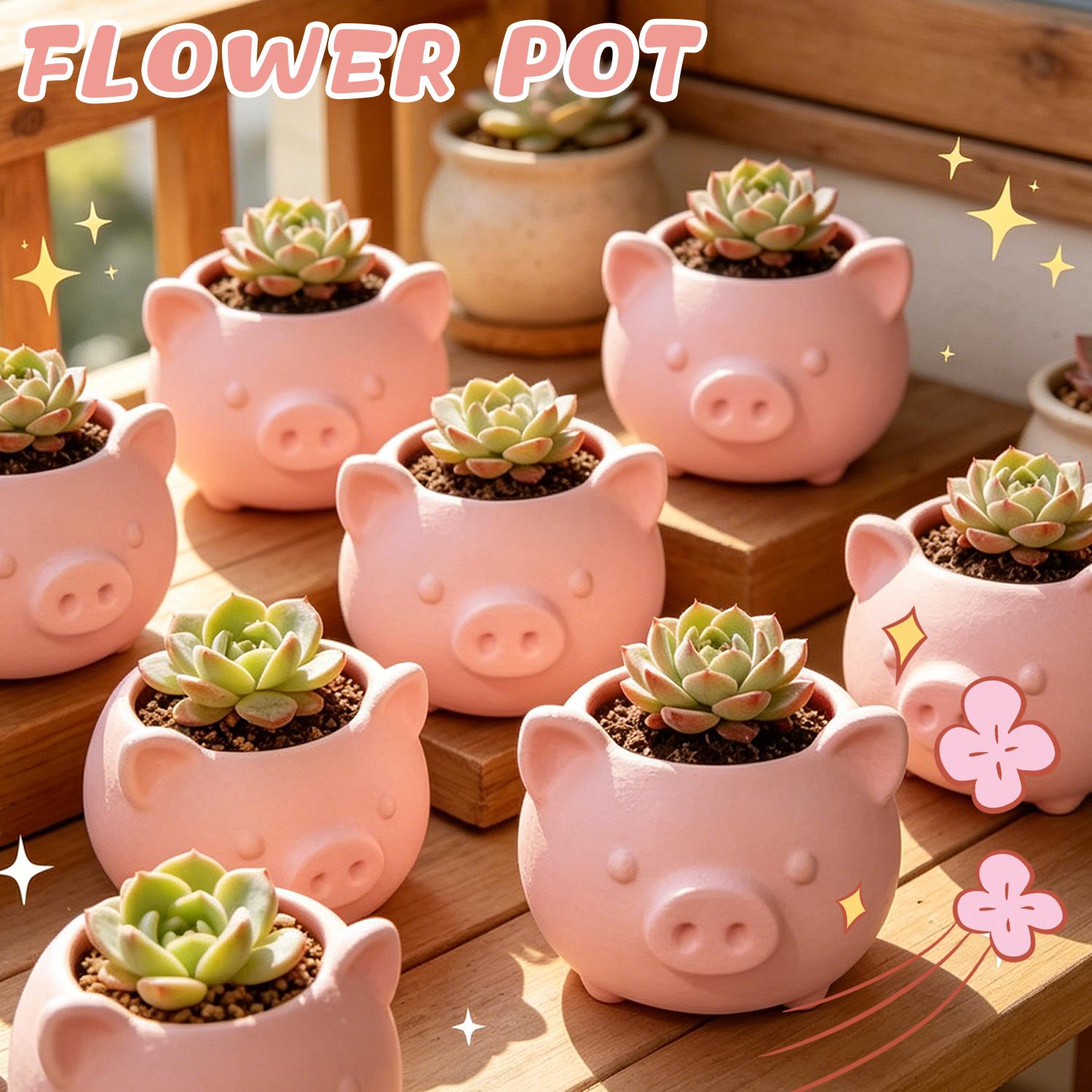 10/1pcs 3D Printed Creative Pi – Echeveria Succulent recenzja i cena