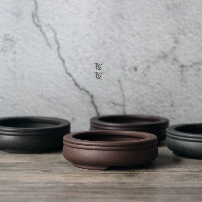 Ceramic Circle Bonsai Pot,Plat – Pilea Peperomioides recenzja i cena