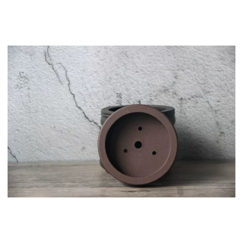 Ceramic Circle Bonsai Pot,Plat – Pilea Peperomioides recenzja i cena