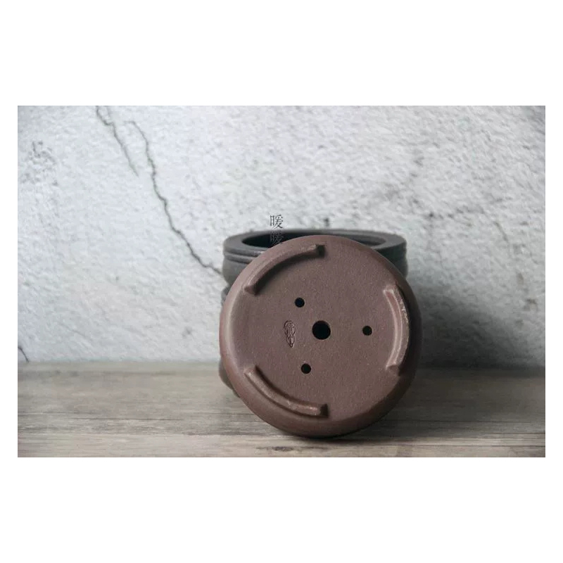 Ceramic Circle Bonsai Pot,Plat – Pilea Peperomioides recenzja i cena
