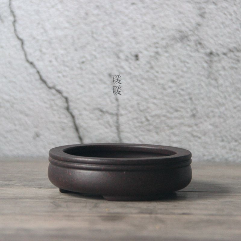 Ceramic Circle Bonsai Pot,Plat – Pilea Peperomioides recenzja i cena