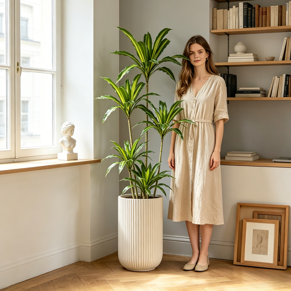 80-165cm Large Artifcial Draca – Dracaena Marginata recenzja i cena