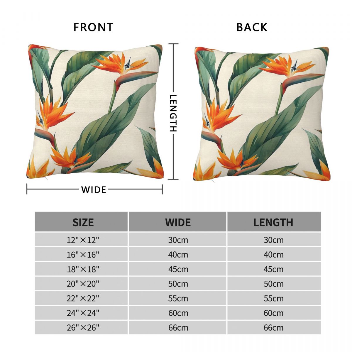 Bird Of Paradise Strelitzia Sq – Bird Paradise Strelitzia recenzja i cena