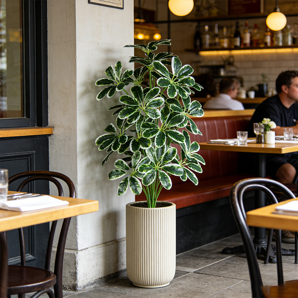 50-75cm Artifficial Maranta Pl – Dracaena Marginata recenzja i cena