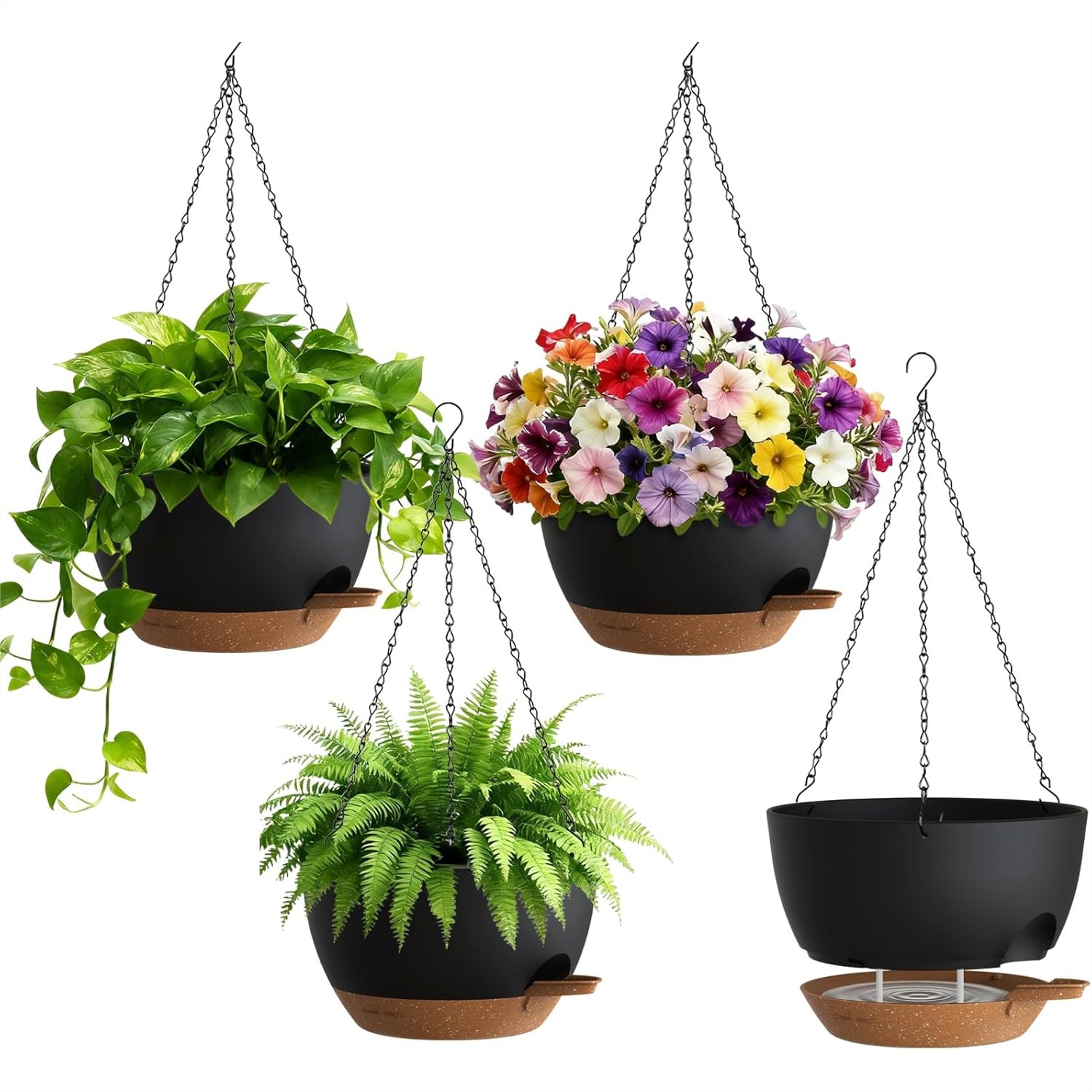 Self Watering Hanging Planters – Spider Plant Hanging recenzja i cena