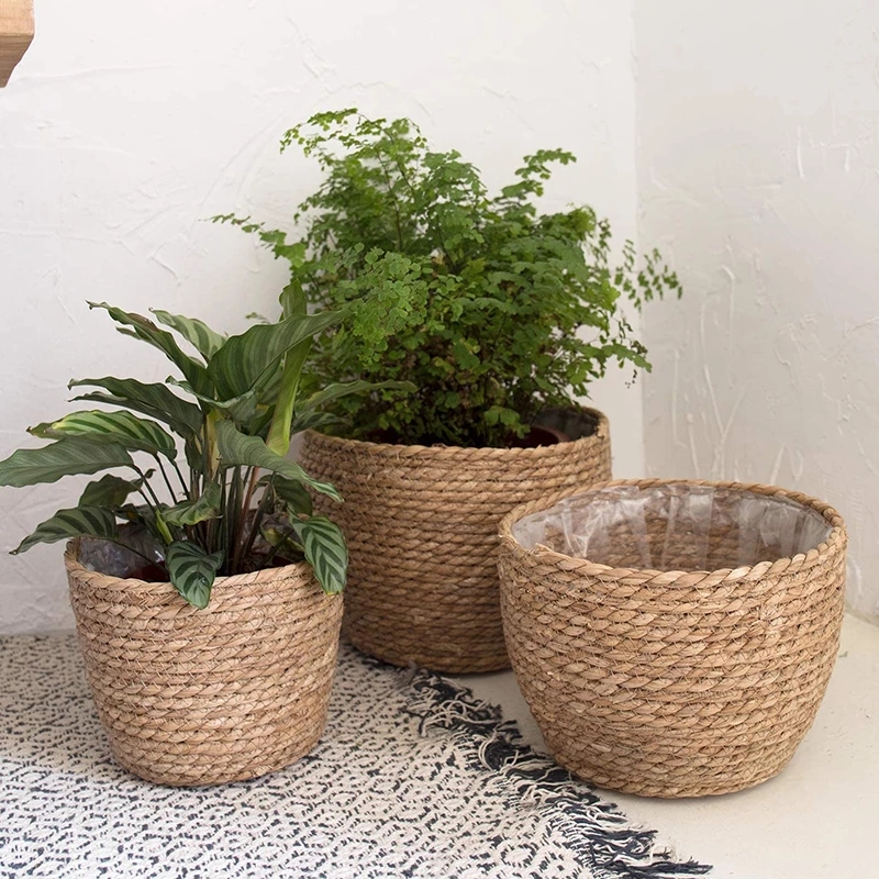Straw Weaving Flower Plant Pot – Aloe Vera Pot recenzja i cena
