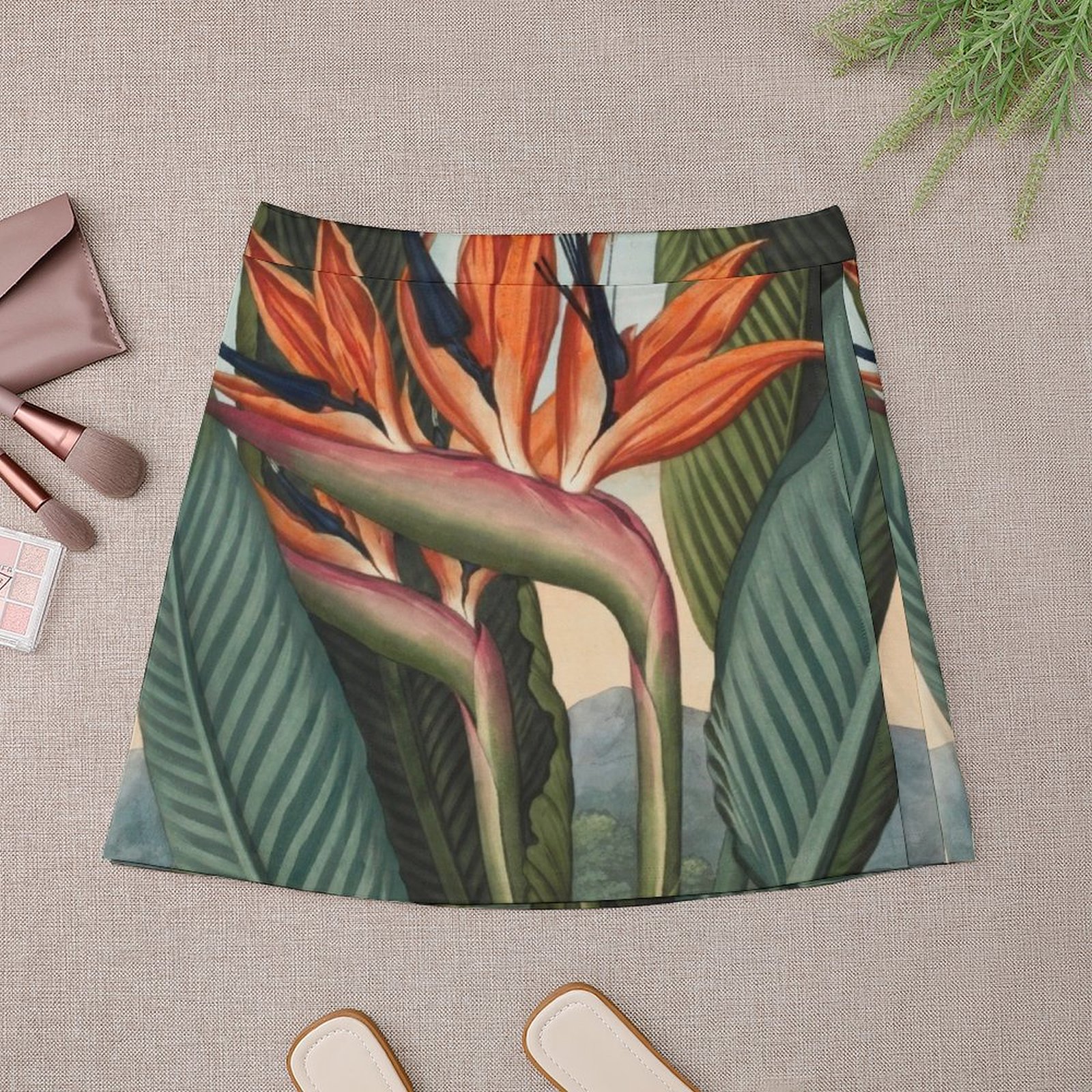 Botanical illustration: Bird o – Bird Paradise Strelitzia recenzja i cena