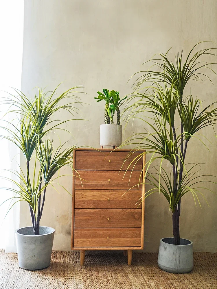 Simulation Plant Dracaena Marg – Dracaena Marginata recenzja i cena