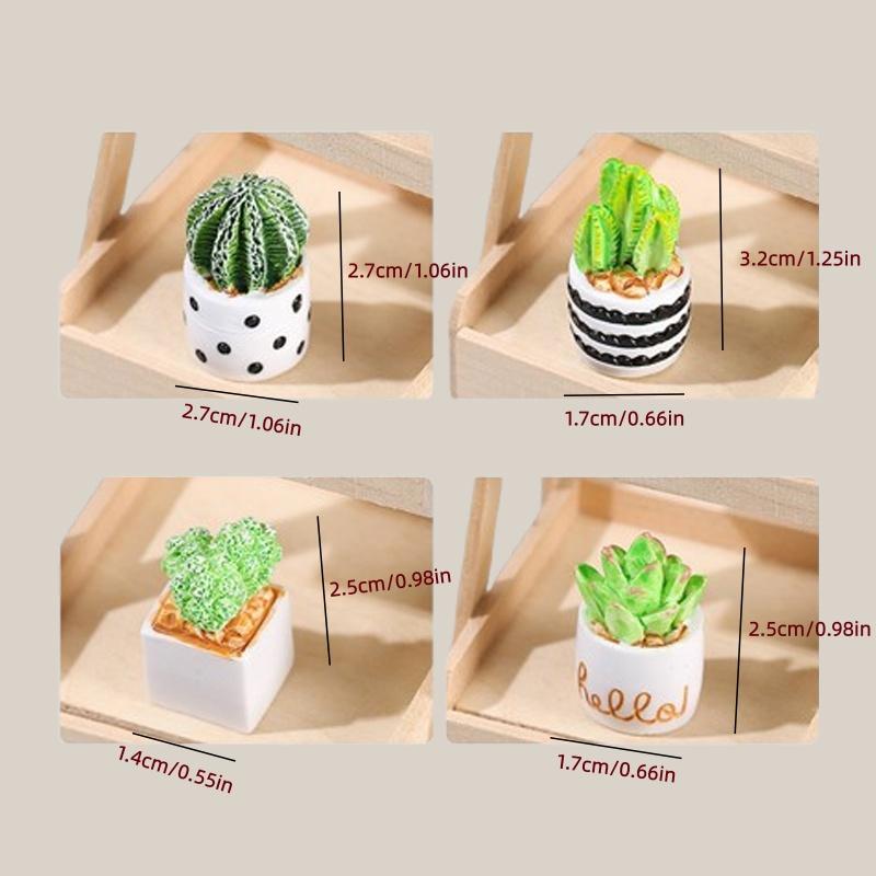 4-Piece Set of Cactus Succulen – Echeveria Succulent recenzja i cena