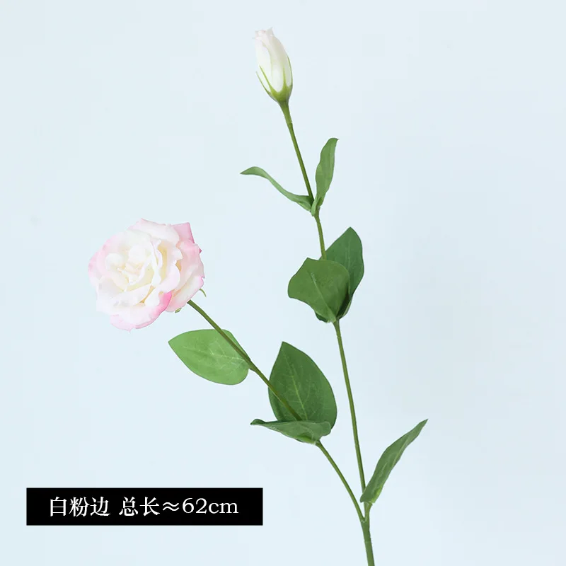 10Pcs/lot Moisturizing 2Head E – Ficus Lyrata Tree recenzja i cena
