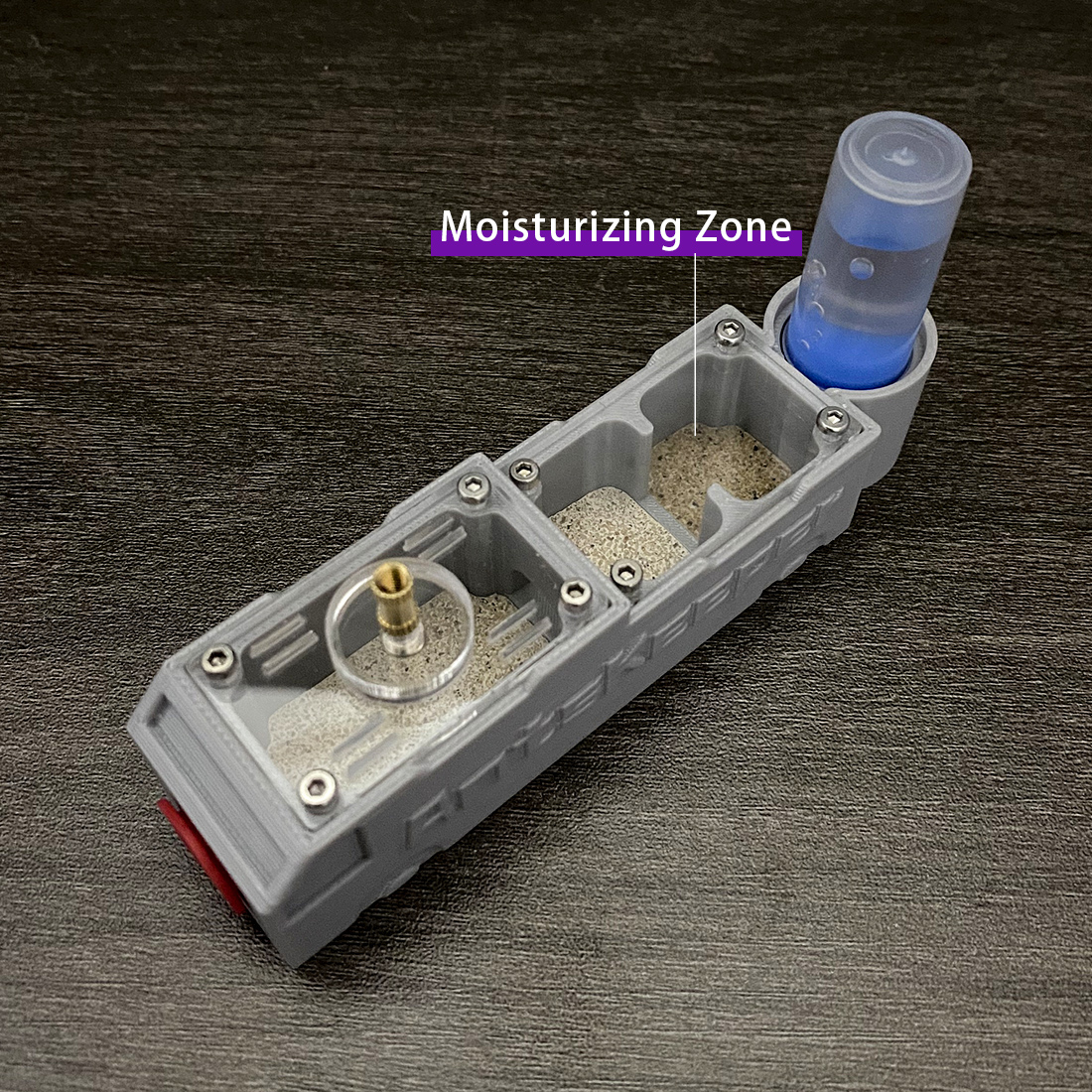 【Truck】Ant Farm for Ants keepe – Begonia Rex recenzja i cena