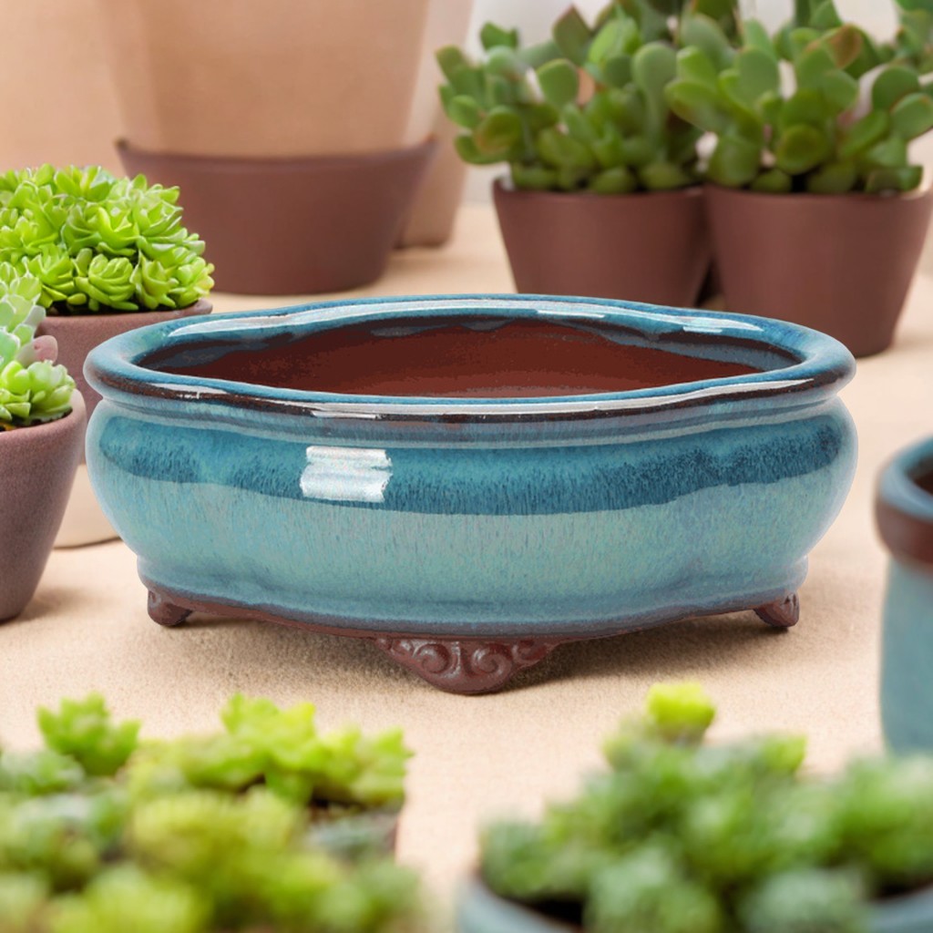 Ceramic Succulent Flower Pot C – Pilea Peperomioides recenzja i cena